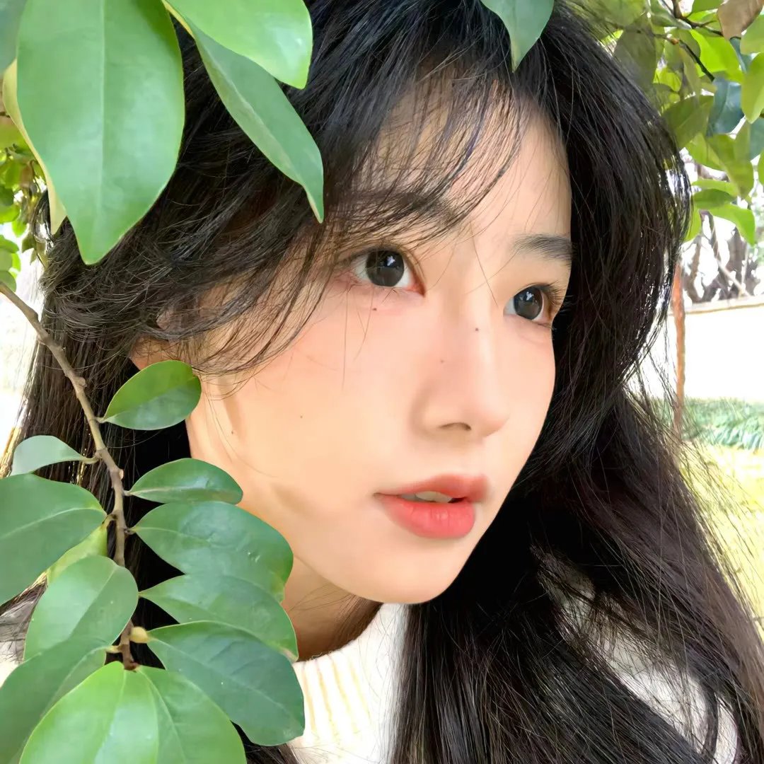 倾国倾城